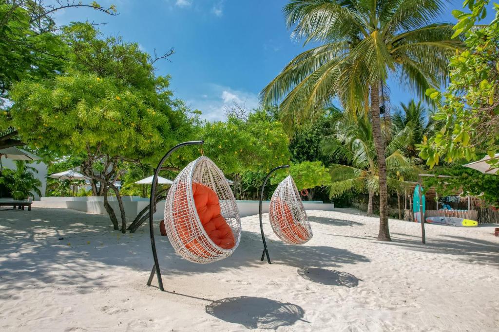 Šūpuļkrēsli pludmalē pie Alma Boutique Hotel, tropu atmosfēra.