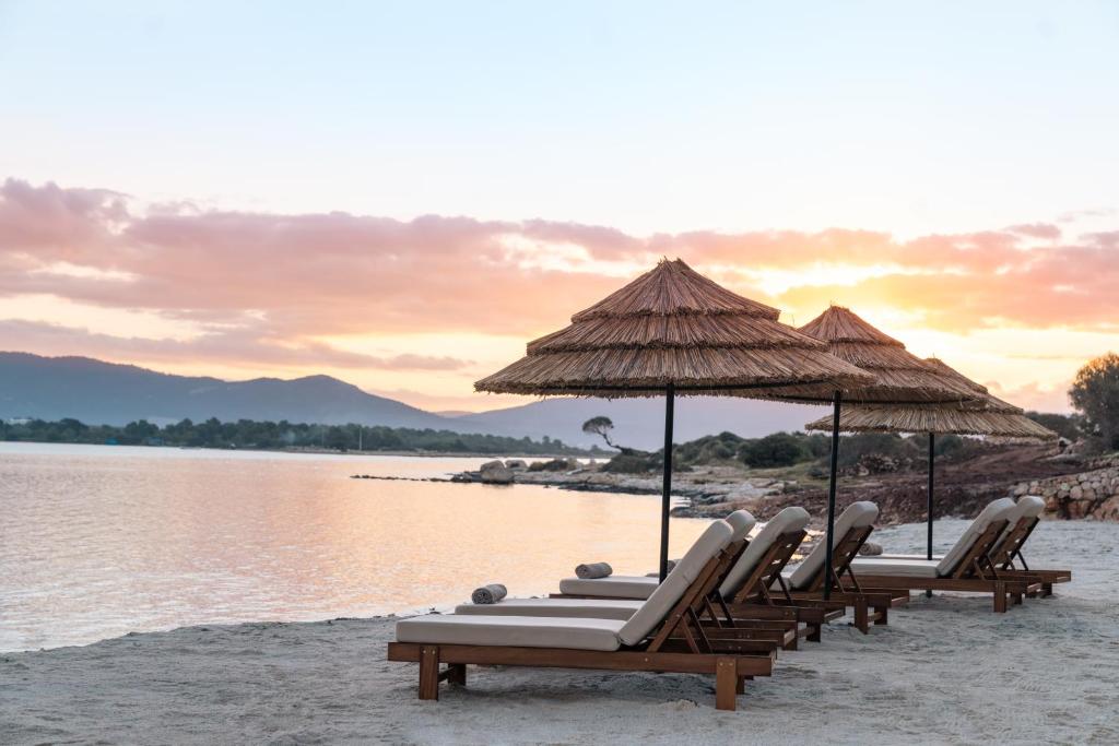 Sauļošanās krēsli piekrastē ar saulrietu, Anda Barut Collection