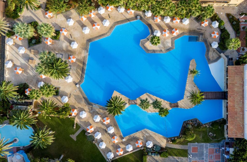 Aquila Rithymna Beach viesnīcas peldbaseins ar palmu kokiem un sauļošanās krēsliem
