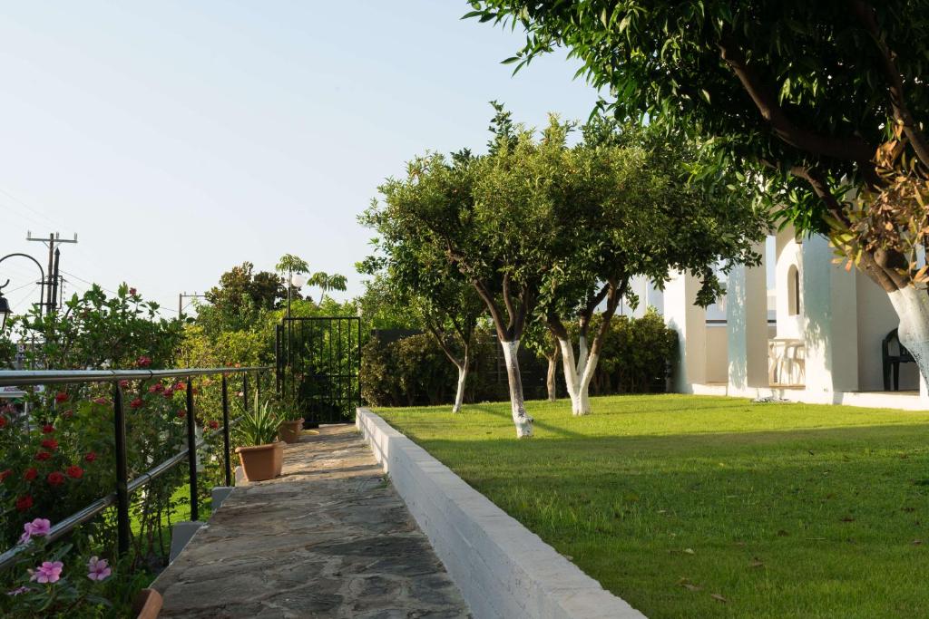 Dārzs ar zālienu un augļu kokiem, apgaismots ar saules gaismu. Redzama akmens celiņu un dārza žogs, radot mierīgu atmosfēru.