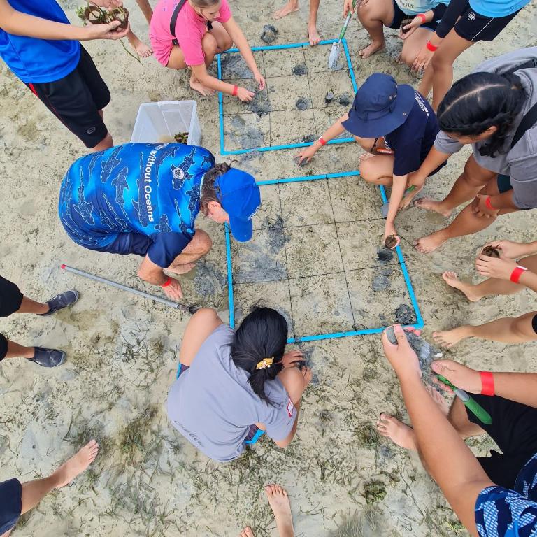 Grupas cilvēku, kas strādā pie jūras, veicot vides izpēti un augu stādīšanu, izmantojot kvadrātu marķējumu uz smiltīm.