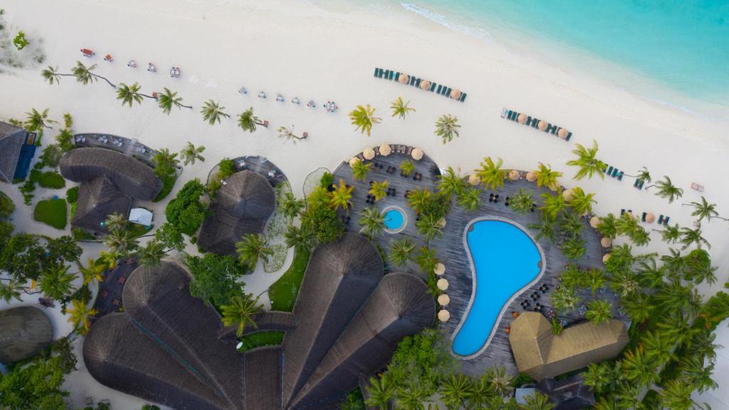 Tropu kūrorta gaisa skats ar baseinu un palmu stādījumiem, blakus baltai pludmalei un zilo ūdeņu fona.