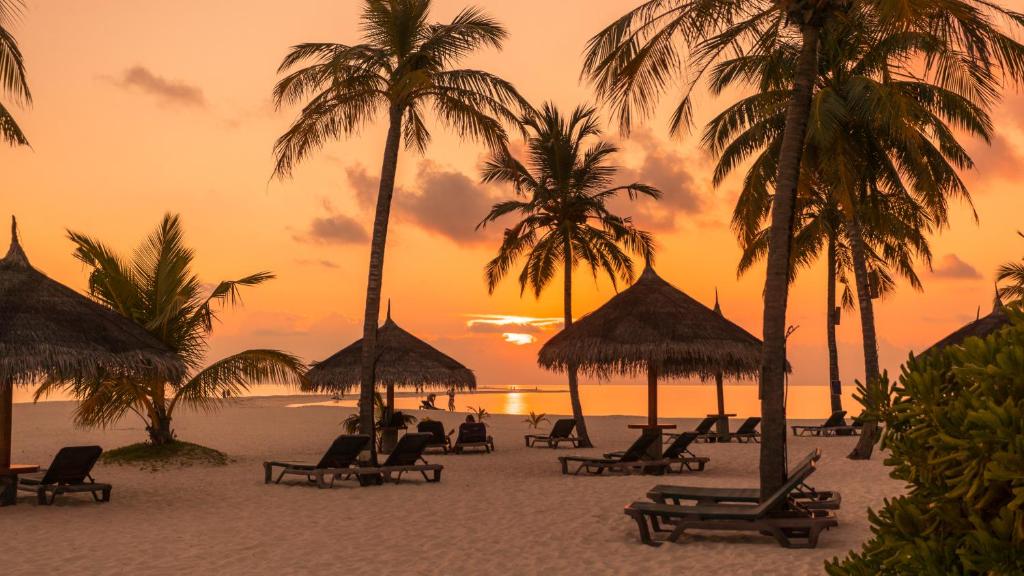 Pludmales ainava ar palmām, šūpuļtīkliem un saule rietot horizontā, radot mierīgu un relaksējošu atmosfēru.