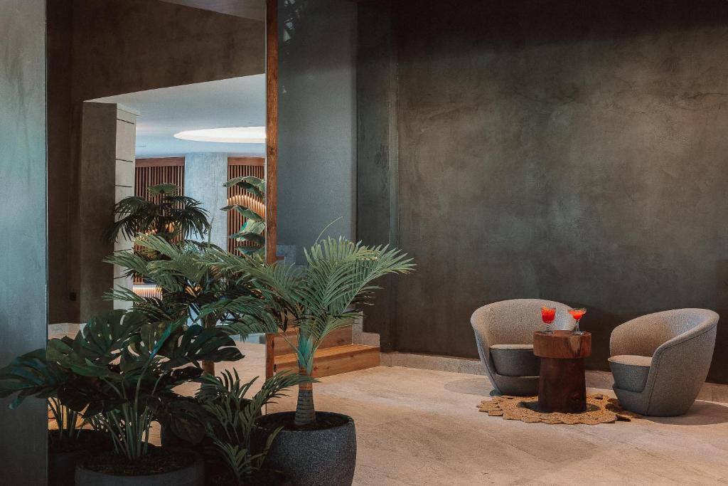 Mūsdienīgs interjers ar ērtām krēslām un sulīgām augu kompozīcijām, radot relaksējošu atmosfēru. Uz galda novietoti divi kokteiļi, kas piešķir dzīvīgumu šai telpai.