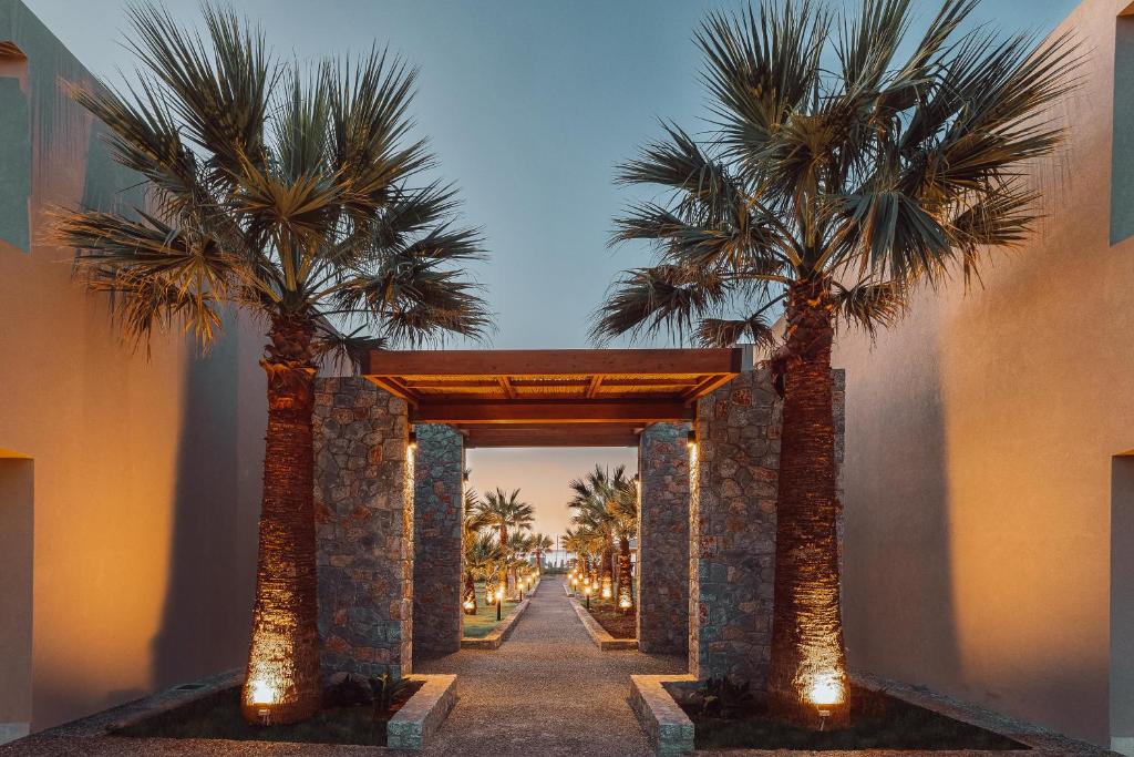 Tropu ainava ar palmām un akmens arhitektūru, kas veido gleznainu ceļu uz jūru, izgaismots ar siltām gaismām.