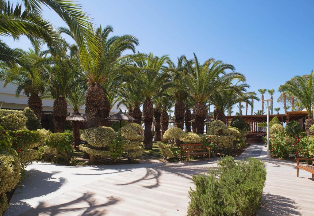 Tropu dārzs The GrandResort Limassol Cyprus
