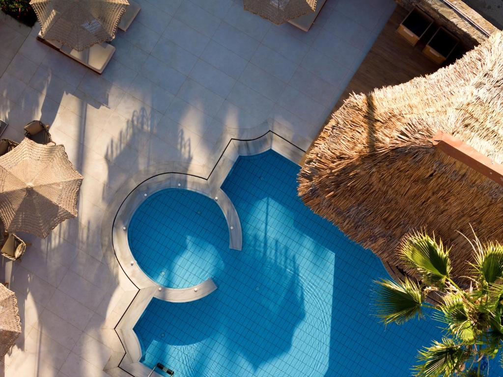 Peldbaseins ar skatu uz saulessargiem un palmu lapām, radot relaksējošu atmosfēru. Ideāla vieta atpūtai un izbaudīšanai.