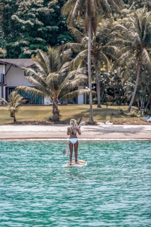 Sieviete stāv uz stand-up dēļa, pludinot pa skaidru ūdeni, kamēr fons ir tropu pludmales ainava ar palmu kokiem un māju.