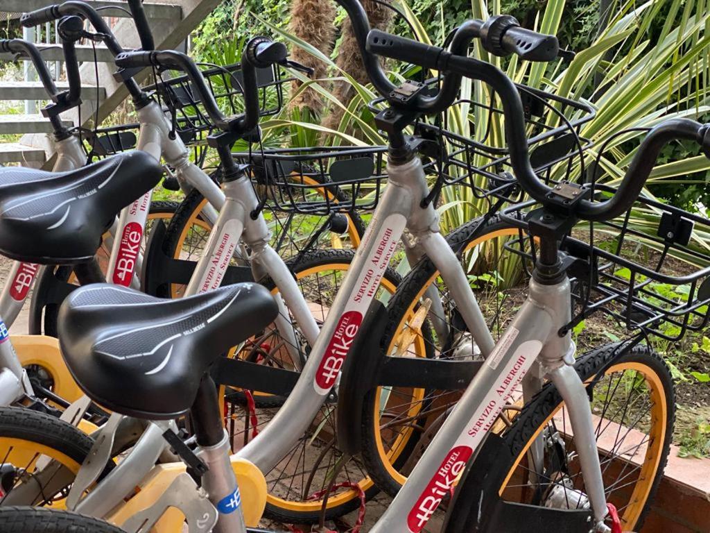 Velosipēdu kolekcija ar melniem sēdekļiem un priekšējiem groziem, novietota starp zaļām augu lapām.