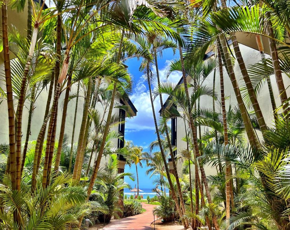 Tropu ainava ar palmām, kas ved uz pludmali, kur redzams zils debesis un jūra. Perfect for a tropical getaway.