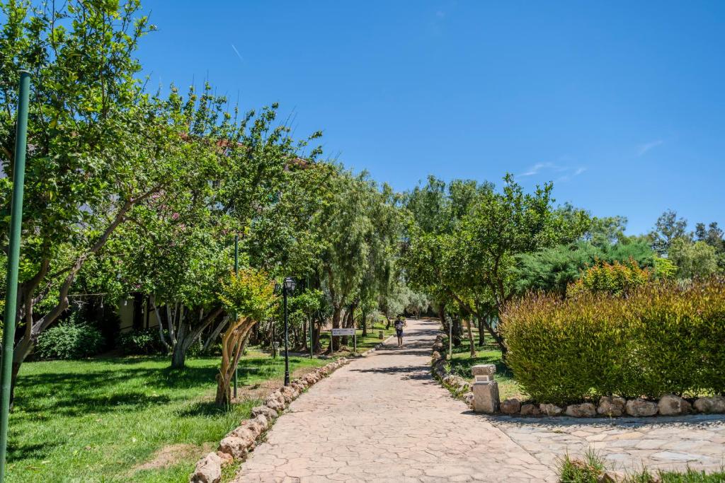 Skaists pastaigas ceļš Belconti Resort Hotel dārzā ar zaļiem kokiem.