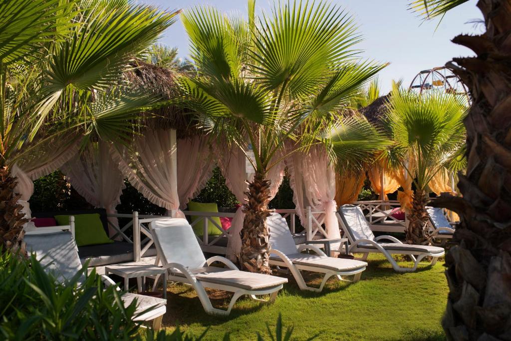 Atpūtas zona ar palmām un sauļošanās krēsliem pie Delphin Diva.