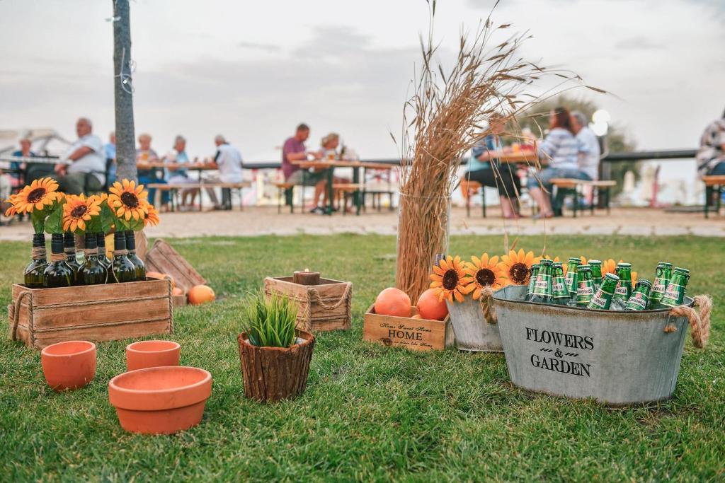 Dārzā iekārtota svinību vieta ar saulrietā ziedējošām saulespuķēm, dzērienu pudelēm un dekoratīviem elementiem, radot patīkamu atmosfēru.