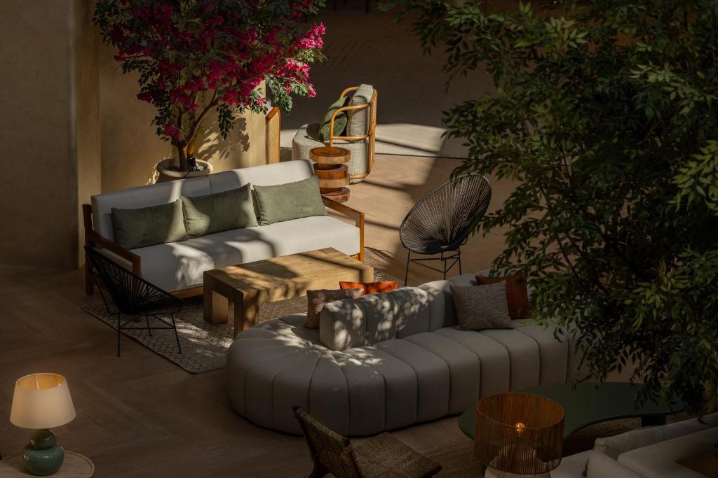 Mājīgs atpūtas zona Desert Rose Resort viesnīcā