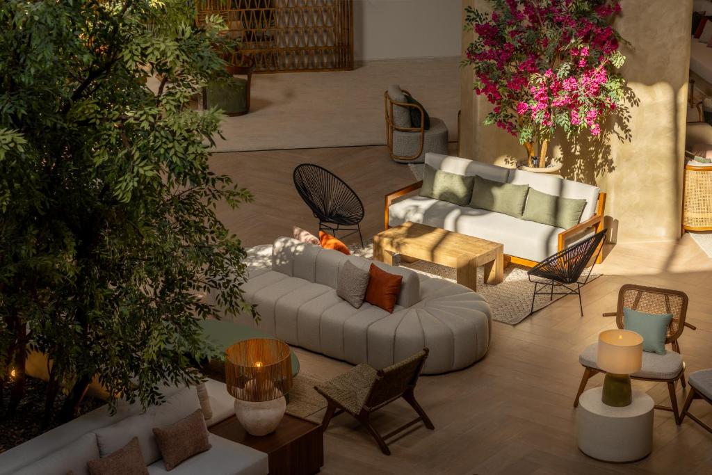 Desert Rose Resort viesnīcas moderns un stilīgs vestibils