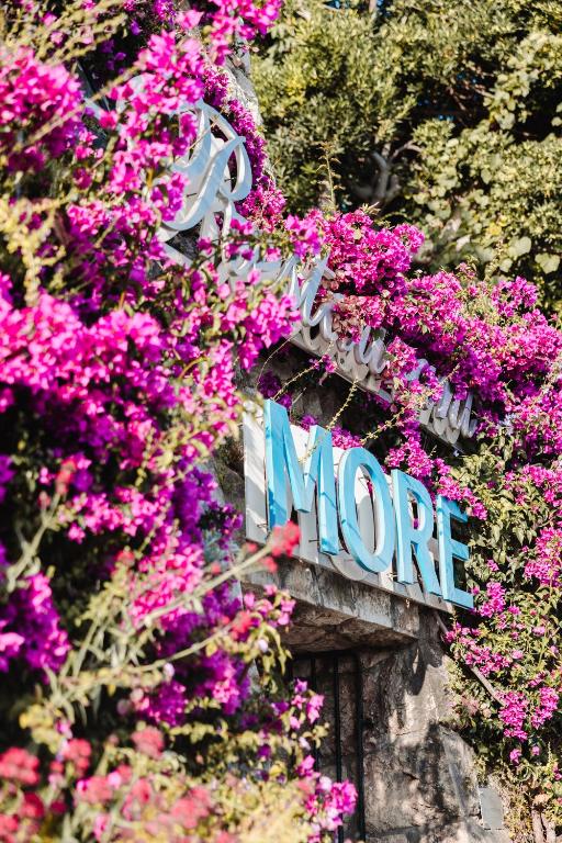 Ziedu apdraudēts uzraksts "MORE" ar rozā ziediem fonā, kas piešķir krāsainu un dzīvīgu atmosfēru.