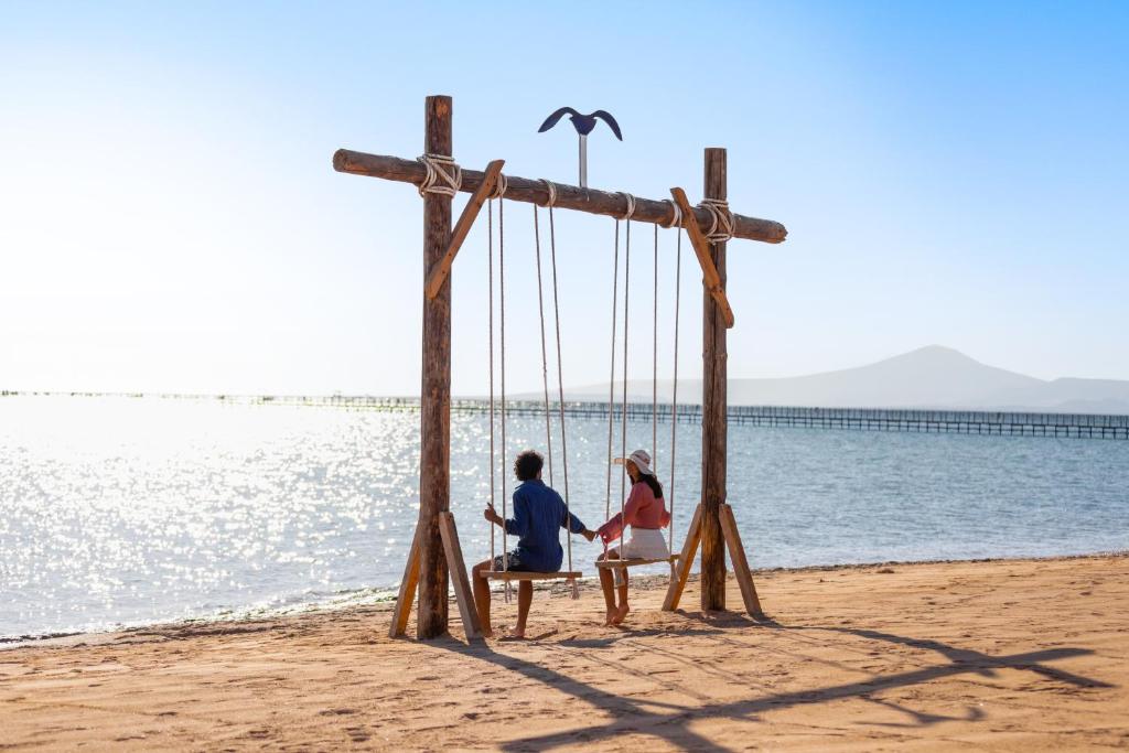 Pāris šūpojas uz šūpuļa piekrastē, Pickalbatros Royal Albatros Moderna.