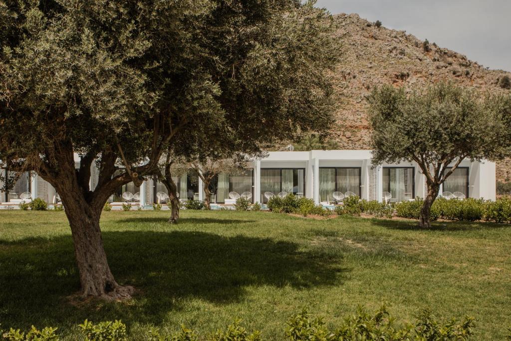 Casa Cook Rhodes numuri piekrastē ar olīvkoku ainavu
