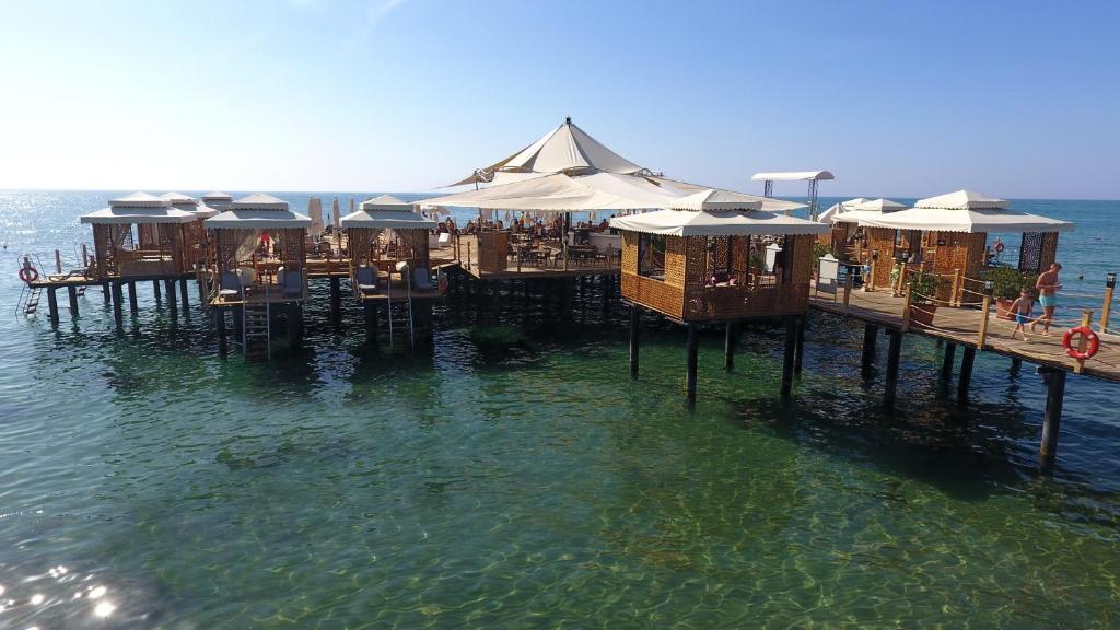 Koka piestātne ar saulessargiem, kas izvietota virs dzidra ūdens, piedāvā relaksējošu atmosfēru un brīvdienu noskaņu. Apmeklētāji izbauda sauli un jūras gaisu.