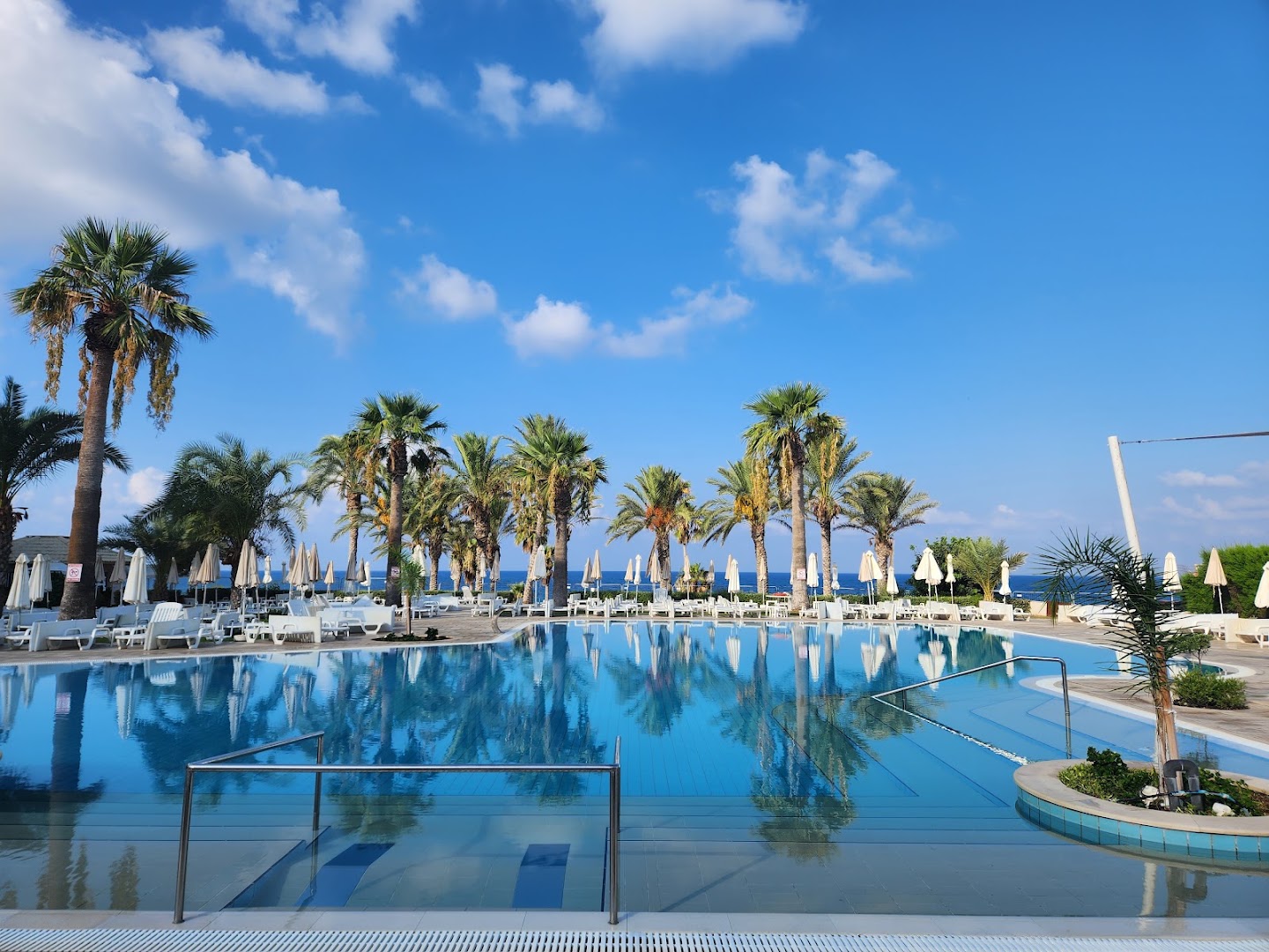 Venus Beach Hotel āra baseins Pafas piekrastē, Kiprā — saulaina atpūtas zona ar palmām, saulessargiem un skatu uz jūru