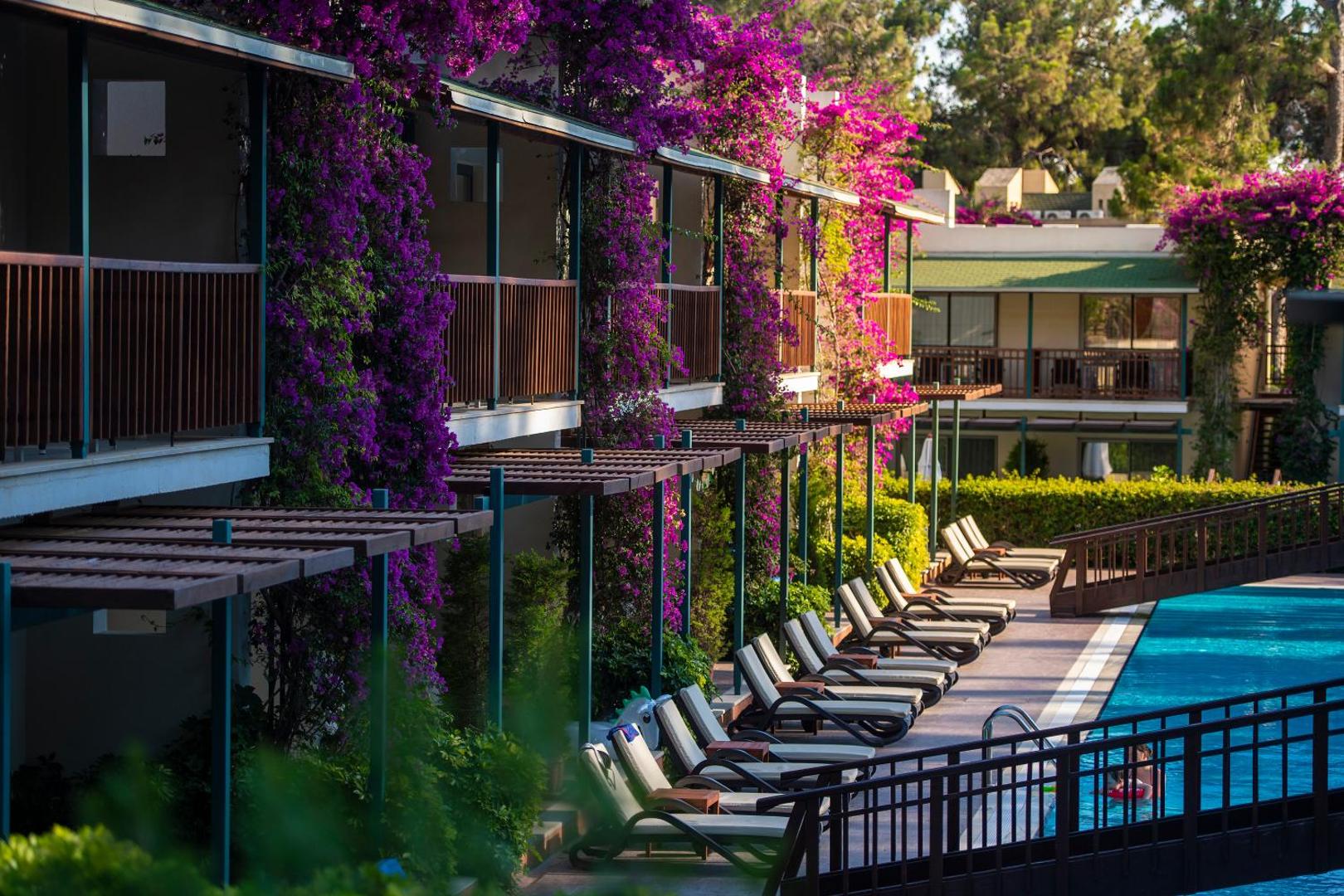 Turquoise Hotel sauļošanās zona pie baseina ar ērtiem krēsliem un bungalo fasādēm, ko klāj koši violeti ziedi