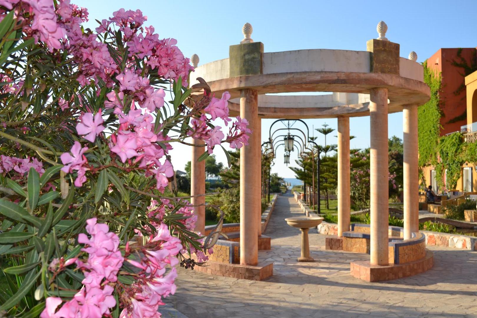 Orpheas Resort Hotel dārza lapene ar kolonnām un ziedošiem rozā oleandriem saules gaismā