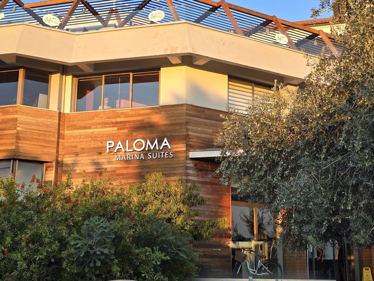 Paloma Marina Suites ieejas fasāde ar koka apdari un viesnīcas nosaukumu saulrieta gaismā pie olīvkokiem