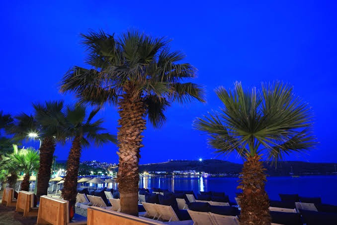 Otium Senses Very Chic Bodrum pludmales zona vakarā — izgaismotas palmas un zviļņi pie jūras nakts gaismās