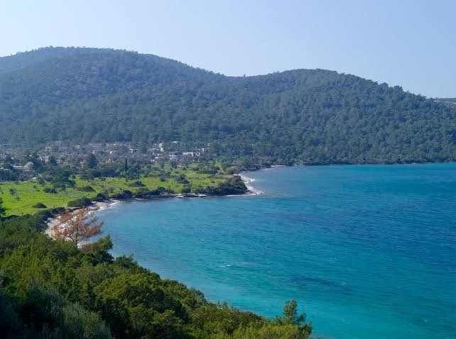Panorāmas skats uz Amanruya kūrorta līci Bodrumā — tirkīzzila jūra, zaļi pakalni un mežonīgā piekraste Turcijā