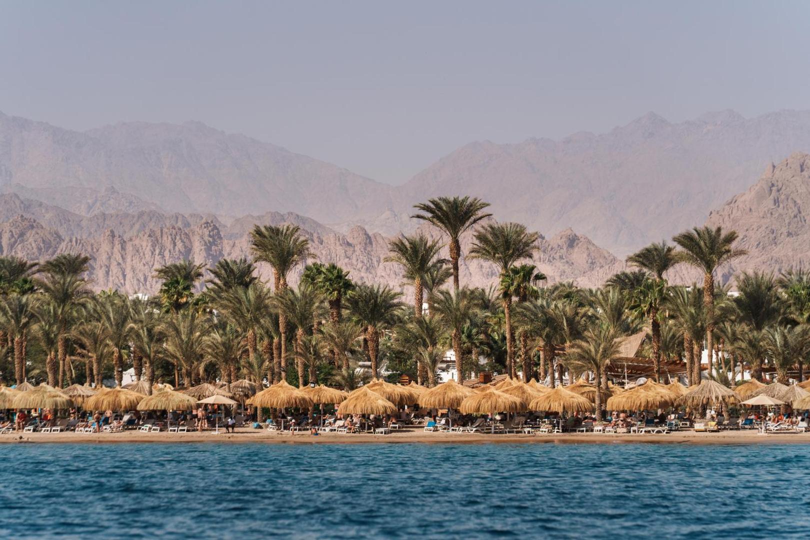Jaz Sharm Dreams Resort privātā pludmale ar salmu saulessargiem, palmām un skatu uz Sinaja kalniem Šarm eš Šeihā