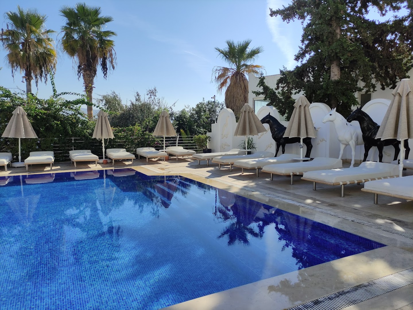 Prive Hotel Bodrum āra baseina zona ar dekoratīvām zirgu skulptūrām, sauļošanās krēsliem un palmām saulainā dienā