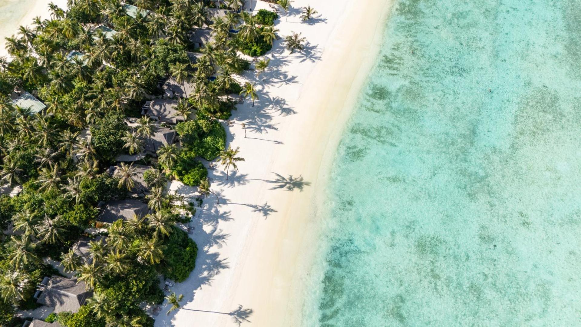 Cocoon Maldives kūrorta aerofoto ar baltu smilšu pludmali, tirkīza ūdeni un bungalo, kas paslēpti blīvā palmu mežā