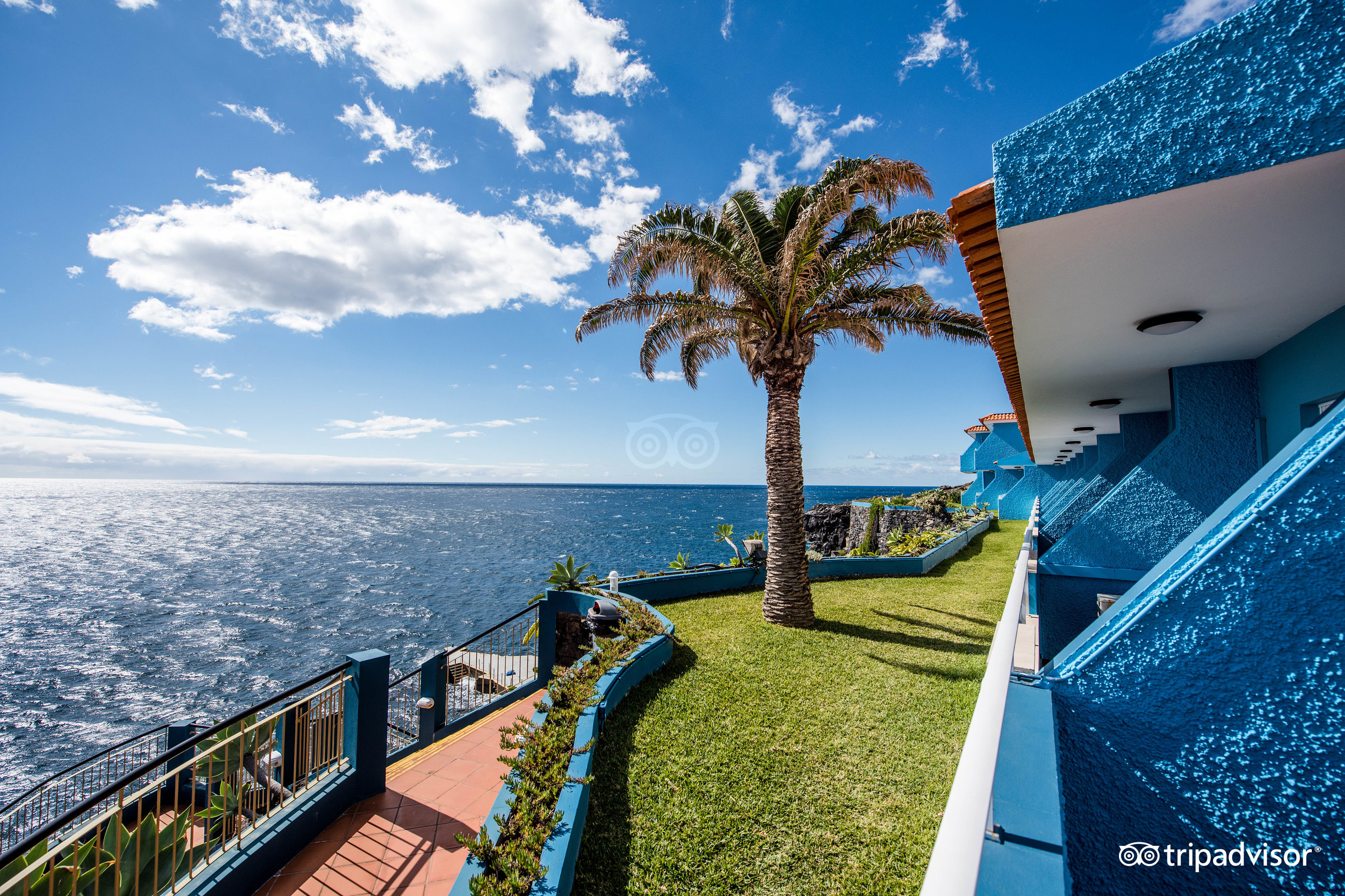 Rocamar Lido Resort terase ar zālienu un palmu pie okeāna — skats no numuru balkoniem uz zilo ūdeni