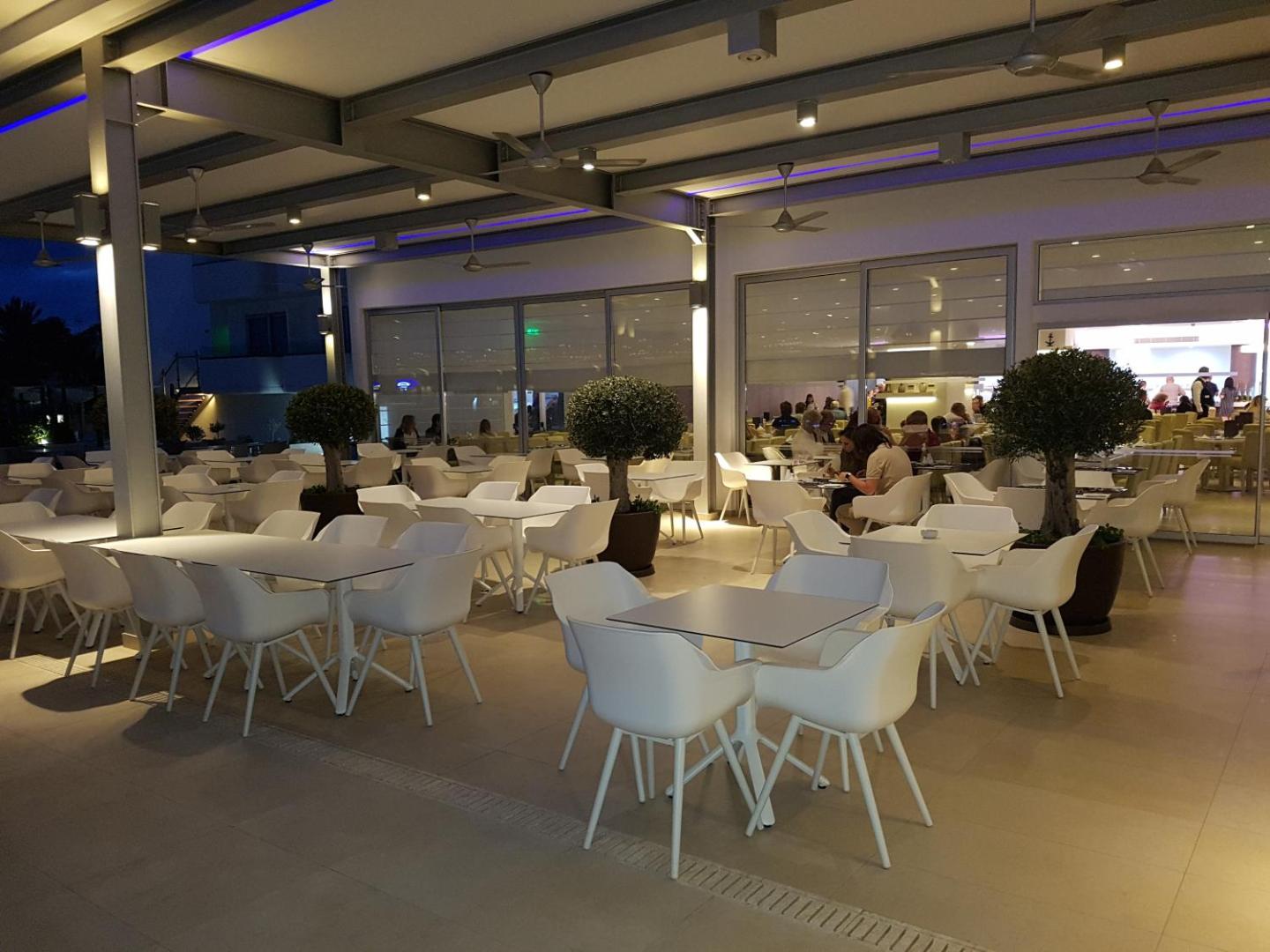 Nestor Hotel vakara atpūtas zona ar baltiem dizaina krēsliem un dekoratīviem olīvkokiem zem modernas nojumes