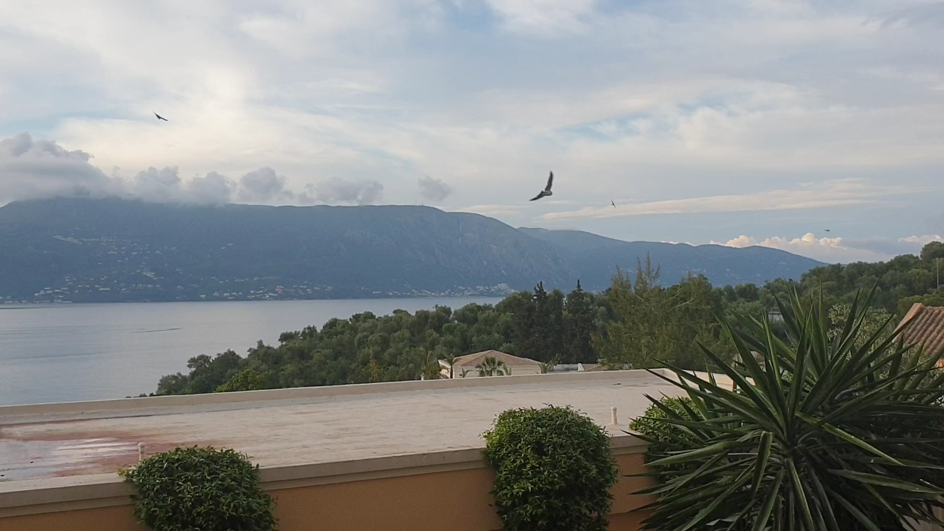 Skats no Grecotel Eva Palace terases uz kalniem un jūru saulrietā, priekšplānā eksotiski augi un olīvu birzs