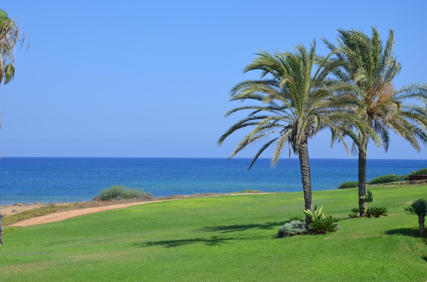 Zaļš zāliens ar palmām Crystal Springs Beach viesnīcas teritorijā pie pašas jūras krasta līnijas zem skaidrām debesīm