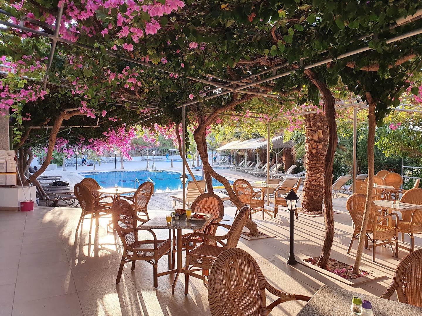 Corfu Hotel āra terase ar pītiem krēsliem un galdiņiem zem ziedošām bugenvillām pie baseina Ajanapā, Kiprā