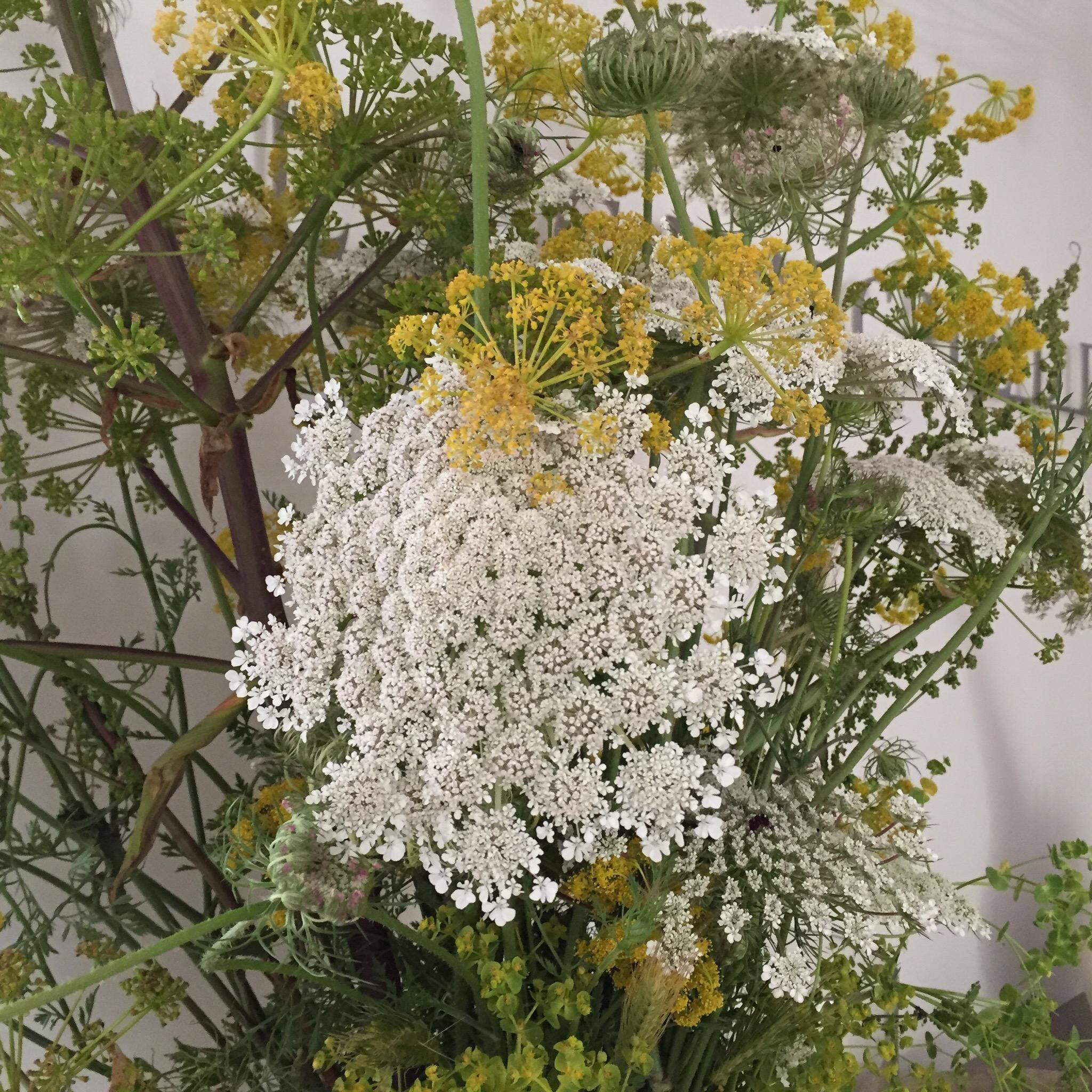 Baltu un dzeltenu ziedu pušķis uz neitrāla fona