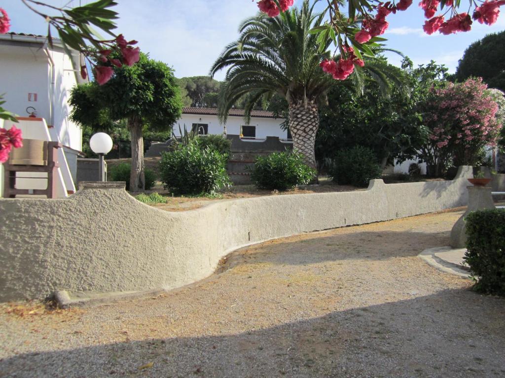 Dārzs ar ainavu, kur redzamas palmas un ziedoši krūmi, veidojot mierīgu atmosfēru. Ceļš vijas cauri, norādot uz apkārtējām ēkām un zaļumu.