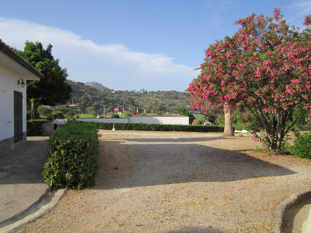 Ainava ar ziedošu koku un kalnu fonu, kas rada mierīgu un dabīgu atmosfēru. Ceļš ir noklāts ar oļiem, un apkārt ir labi kopti krūmi.