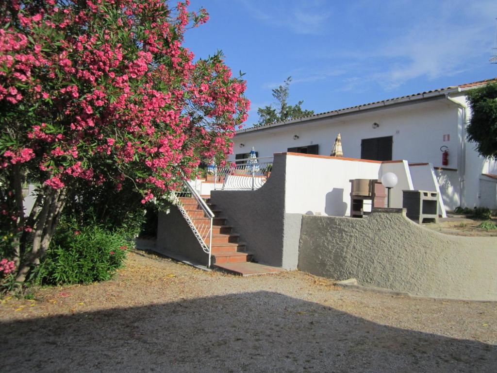 Skaista ainava ar rozā ziediem un māju, kas izvietota kalnā. Pagrabs ir apzaļumots ar zāli un krūmiem, radot mierīgu atmosfēru.