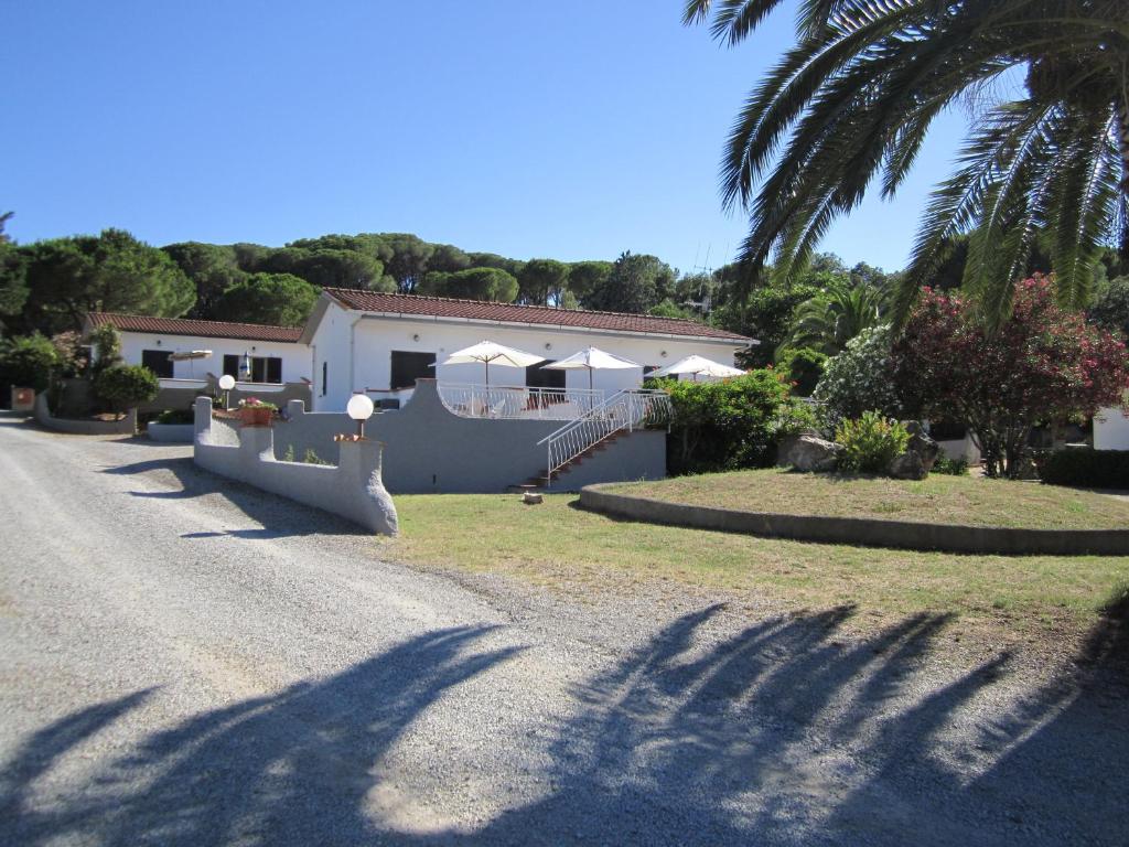 Mājas ar palmu un dārzu ainava, ar akmeņainu ceļu un terasi zem saules. Ideāla vieta atpūtai un relaksācijai.