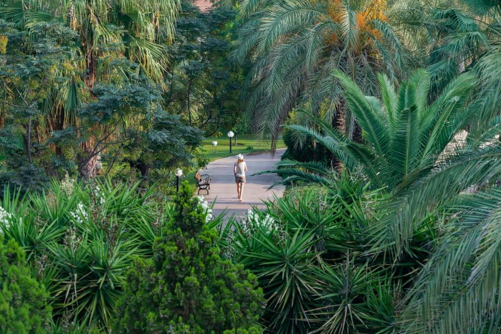 Starlight Resort pastaigas ceļš starp zaļām palmu alejām.