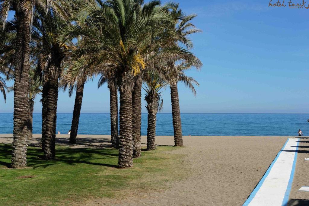 Pludmales ainava ar palmu kokiem un mierīgu jūru, kas stiepjas līdz horizonta līnijai. Šī ir ideāla vieta atpūtai un relaksācijai.