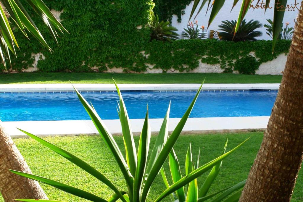 Peldbaseins ar dzidru zilu ūdeni, apkārt zaļi zāles laukumi un tropiskas auga lapas. Ideāla vieta atpūtai un relaksācijai.