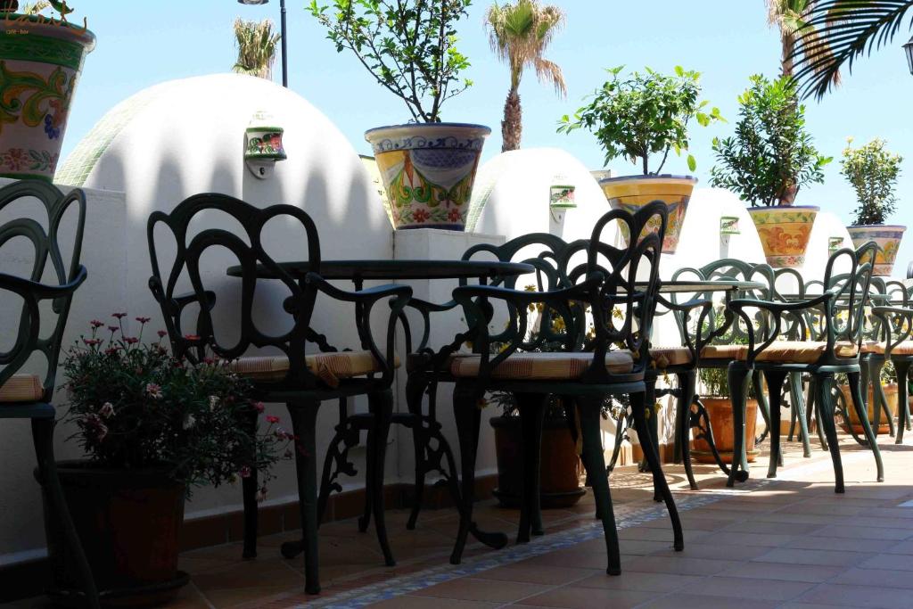 Āra kafejnīca ar zaļiem krēsliem un galdiem, ap kuriem ir ziedu podi un dekoratīvi augi. Gaisīga un saulaina atmosfēra, kas aicina uz relaksāciju.