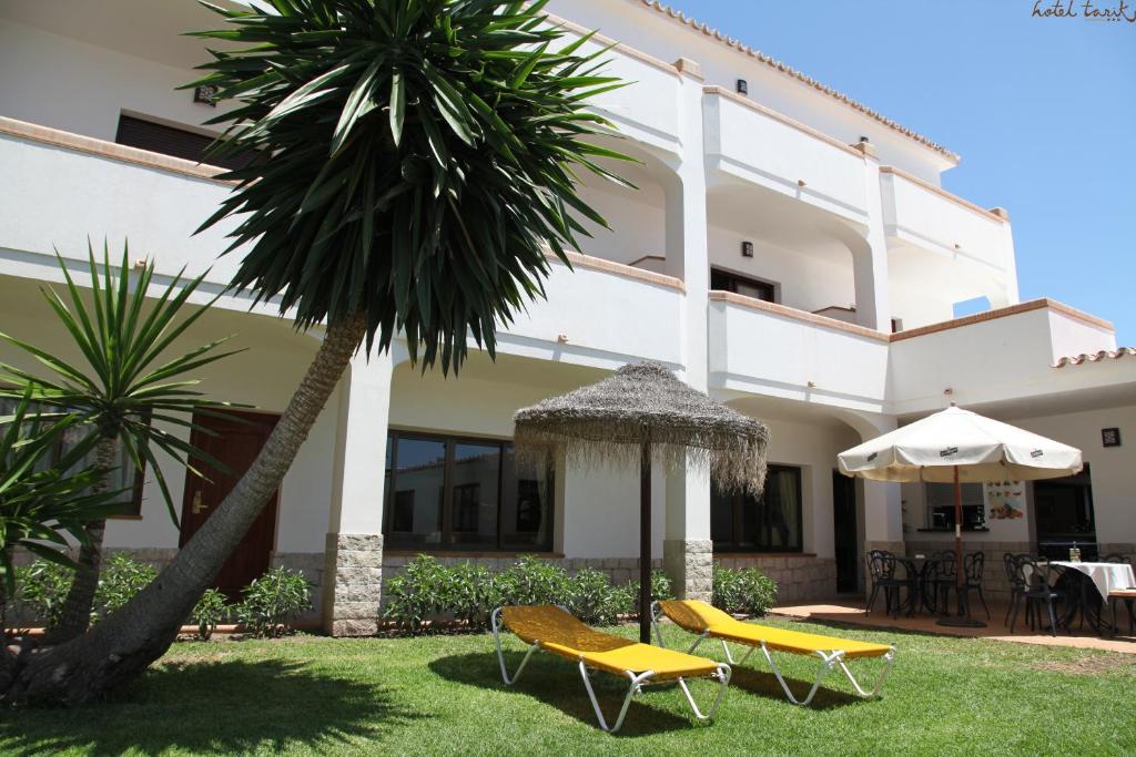 Dārza zona ar divām dzeltenām sauļošanās krēslām, palmu un ēnu no salmu jumta. Fons veido viesnīcas arhitektūra ar baltiem mūriem un logiem.