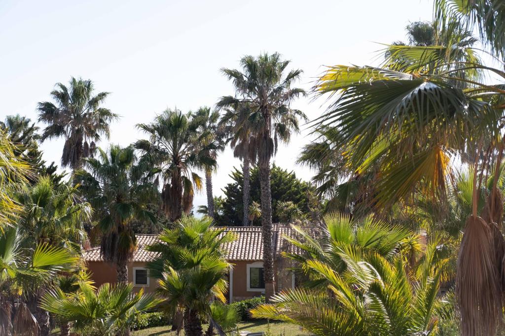 Palmas pie Quinta do Mar Country & Sea Village viesnīcas