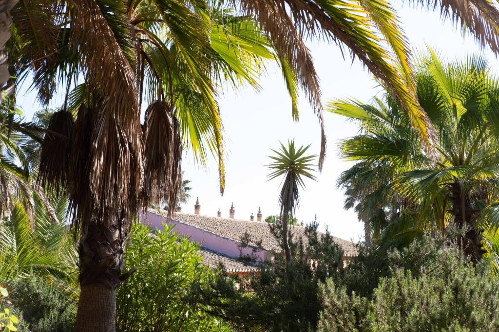 Tropu ainava ar palmu kokiem pie Quinta do Mar Country & Sea Village