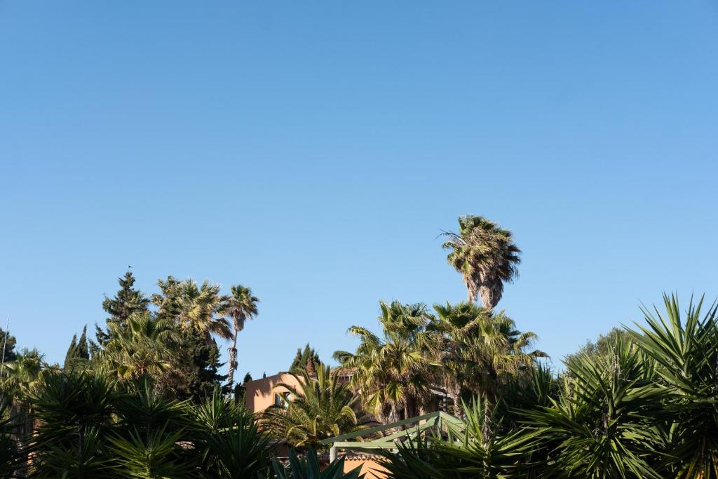 Quinta do Mar Country & Sea Village zaļumi un palmas zem skaidra debesīm